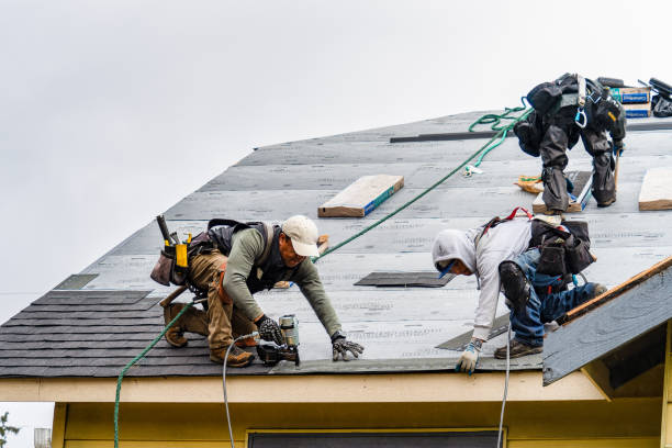 Professional Storm Damage Roof Repair technician working in Branford, FL